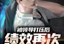 被领导打压后,绩效再次被清零!免费阅读,被领导打压后,绩效再次被清零!章节在线阅读-读书翁