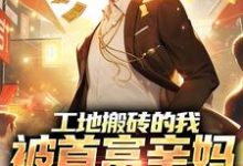 工地搬砖的我，被首富亲妈找回家小说，工地搬砖的我，被首富亲妈找回家刘帅-读书翁