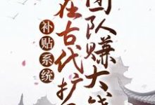 补贴系统:我在古代扩展团队赚大钱小说,补贴系统:我在古代扩展团队赚大钱免费阅读-读书翁