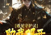 遇见守护灵，助我解开父亲的秘密这本小说怎么样？免费在线阅读试试-读书翁