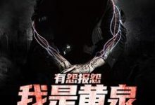 完结版《有怨报怨,我是黄泉摆渡人》免费阅读-读书翁
