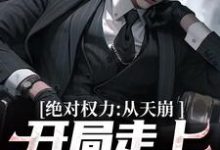 哪里能找到绝对权力:从天崩开局走上官途巅峰小说的最新更新和免费章节?-读书翁