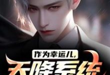 免费看作为幸运儿，天降系统好大的饼小说的网站有哪些？-读书翁