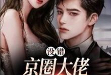 小说《没错,京圈大佬就是没她不行》在线章节阅读-读书翁