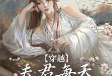 完结版《穿越:夫君每天都在争风吃醋》章节阅读-读书翁