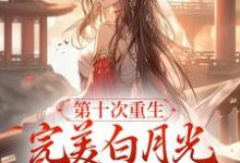 求第十次重生,完美白月光她装傻摆烂小说免费资源-读书翁