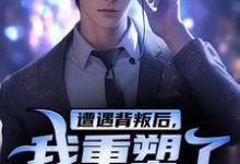 在线寻找遭遇背叛后,我重塑了人身小说的无删减版本-读书翁