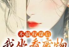 小说《不搞权谋后,我坐看废物儿女作死》章节阅读-读书翁