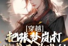 方云小说《穿越:把张楚岚打造成无敌战神》在线阅读-读书翁