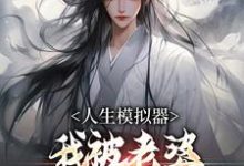 人生模拟器：我被老婆逼成世间极境这本小说完结了吗？免费查看最新章节-读书翁