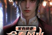 完结版《家有萌妻:会看风水还会看面相!》在线免费阅读-读书翁