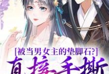 已完结小说《被当男女主的垫脚石？直接手撕剧本》在线章节阅读-读书翁