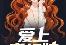 寻找爱上老板娘小说的最新更新章节-读书翁