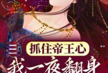 小说《抓住帝王心，我一夜翻身成宠妃》在线章节阅读-读书翁