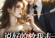 完结版《说好的放我走,你咋又锁门了》章节阅读-读书翁