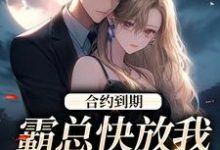 合约到期,霸总快放我追新欢沈初音霍庭坤小说在线章节目录阅读最新章节-读书翁