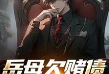 岳母欠赌债要被砍手？跟我没关系哈小说无弹窗阅读的网站推荐-读书翁