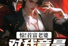 惊!首富老婆对我竟是蓄谋已久!小说无弹窗阅读的网站推荐-读书翁