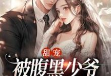 哪里可以免费找到甜宠：被腹黑少爷藏起来的娇宝？-读书翁