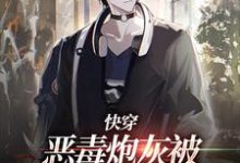 快穿：恶毒炮灰被疯批们强制爱了时言在线章节免费阅读-读书翁