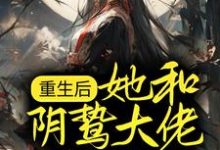 重生后，她和阴鸷大佬共谋天下这本小说怎么样？免费在线阅读试试-读书翁