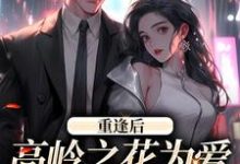 重逢后,高岭之花为爱变身追妻狂魔免费阅读,重逢后,高岭之花为爱变身追妻狂魔章节在线阅读-读书翁