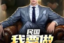 民国:我要做乱世枭雄小说的所有章节都能在哪里免费读到?-读书翁