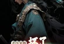 杀伐果断：坏了，穿越成反派了！小说有没有完结版在线？-读书翁