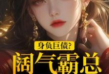 身负巨债？阔气霸总随手解决！小说全文哪里可以免费看？-读书翁