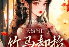 在线寻找大婚当日,竹马却抬平妻入门小说的无删减版本-读书翁