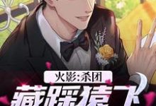 哪里能找到火影:杀团藏踩猿飞,我无敌了小说的最新更新和免费章节?-读书翁