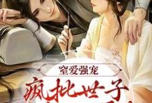 小说《窒爱强宠：疯批世子囚我入罗账》在线章节阅读-读书翁