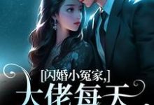 已完结小说《闪婚小冤家,大佬每天都想贴贴》章节免费阅读-读书翁