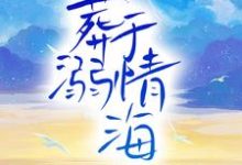 小说《葬溺于情海》章节免费阅读-读书翁