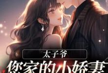 太子爷，您家的小娇妻又又又哭了！梁晚意霍庭洲小说在线章节目录阅读最新章节-读书翁