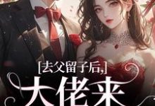 《去父留子后,大佬来抓我啦》小说大结局免费试读 阮晴顾封霆小说-读书翁