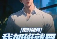 小说《秦时明月:我加班就要被扣经验值》章节阅读-读书翁