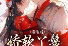 重生后，娇软丫鬟被雄竞了裴知之魏恒在线章节免费阅读-读书翁