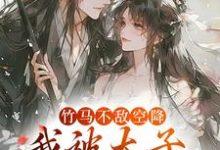 《竹马不敌空降,我被太子宠上天》小说大结局免费试读 薛泠谢珩小说-读书翁