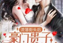 求推荐可以免费阅读流落街头后，豪门贵子成了爹系男友小说的网站-读书翁