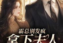 霸总别发疯,拿下夫人才要紧小说全文哪里可以免费看?-读书翁