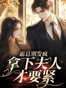 小说《霸总别发疯，拿下夫人才要紧》在线章节阅读