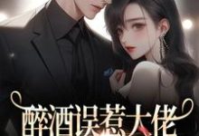 完结版《醉酒误惹大佬,我陷进甜甜恋爱!》免费阅读-读书翁