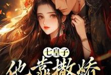 七皇子他靠撒娇博我欢心小说免费资源，七皇子他靠撒娇博我欢心在线阅读-读书翁