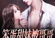 笨蛋甜妹被哥哥的兄弟盯上了（殷书漾谢观澜）在线免费阅读-读书翁