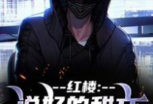 红楼:说好的甜文咋变恐怖文了小说完结版章节免费阅读-读书翁