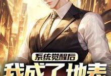 《系统觉醒后，我成了地表最强龙傲天》小说章节在线试读，《系统觉醒后，我成了地表最强龙傲天》最新章节目录-读书翁