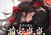 暴君小萌包，萌宠崽崽要抱抱小说，暴君小萌包，萌宠崽崽要抱抱免费阅读-读书翁