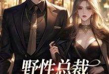 野性总裁穿上娇夫马甲小说的无弹窗阅读体验,寻找免费阅读网站-读书翁