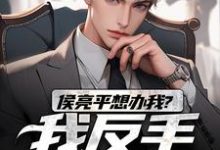 完结版《侯亮平想办我？我反手举报他！》在线免费阅读-读书翁